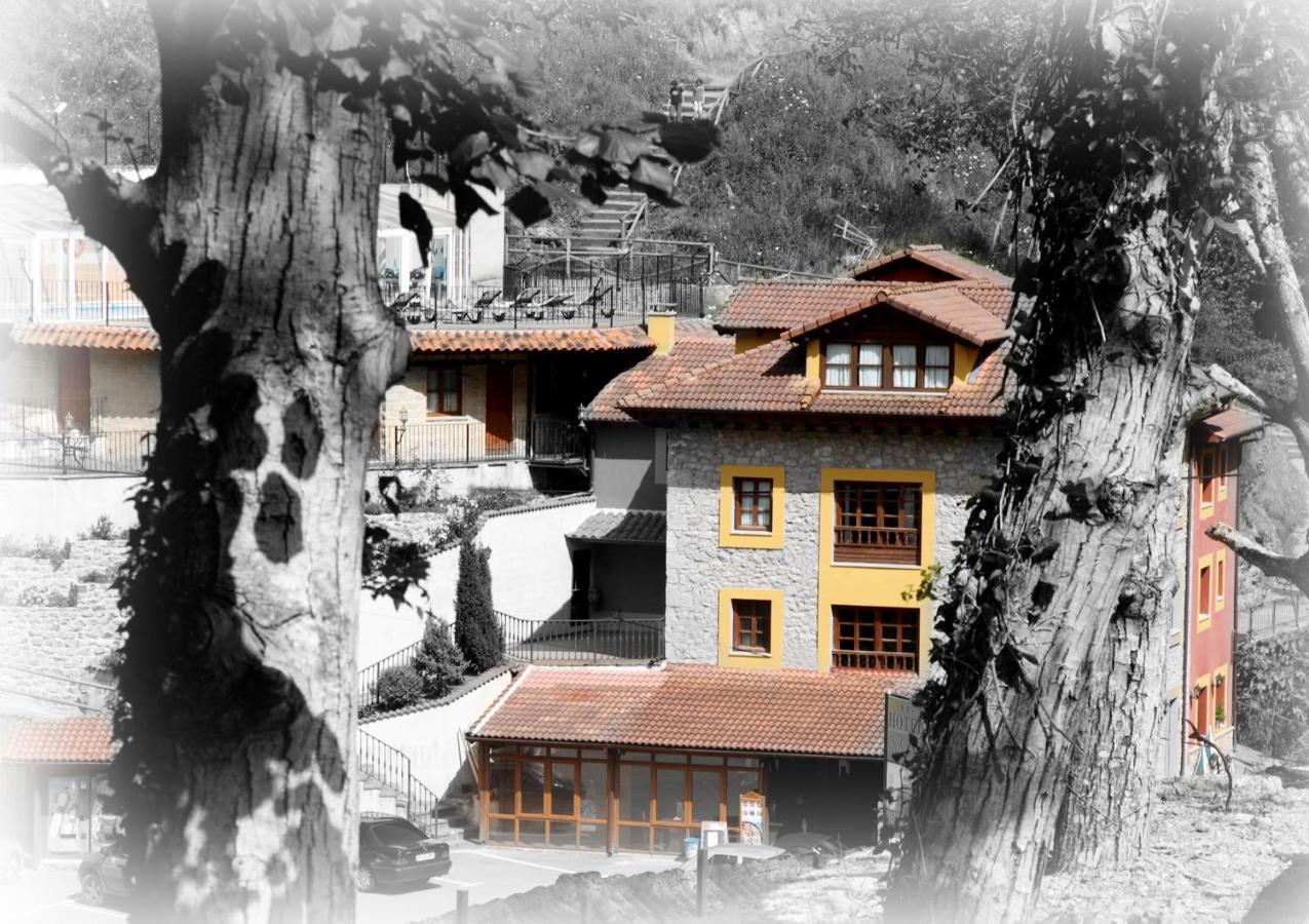 Hotel Puente Vidosa Amieva Extérieur photo